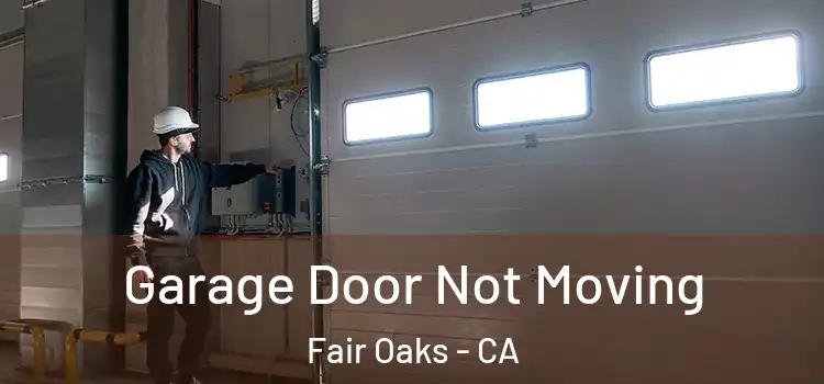  Garage Door Not Moving Fair Oaks - CA