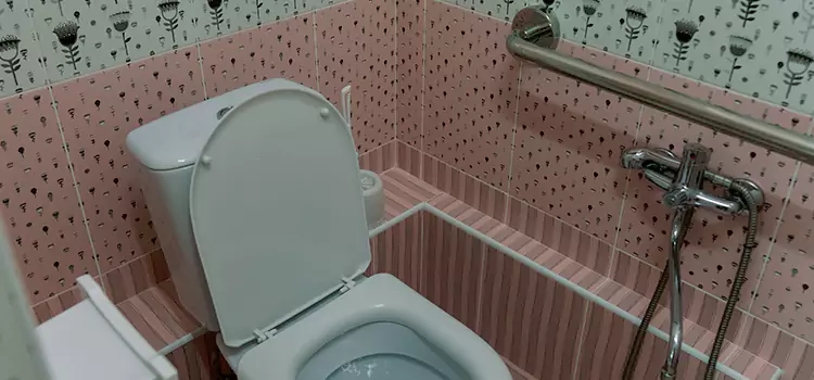 Meeting Diverse Needs With Accessible Restroom Solutions in Fair Oaks, CA